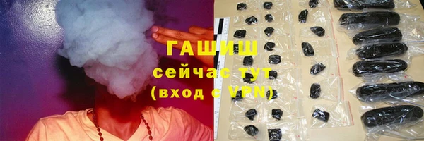 индика Покачи