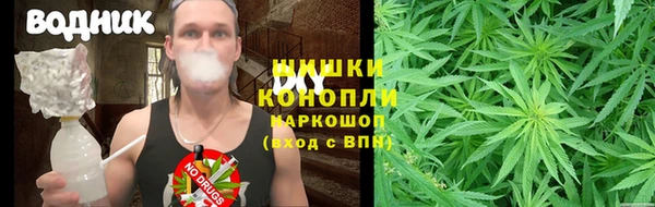 мескалин Михайлов